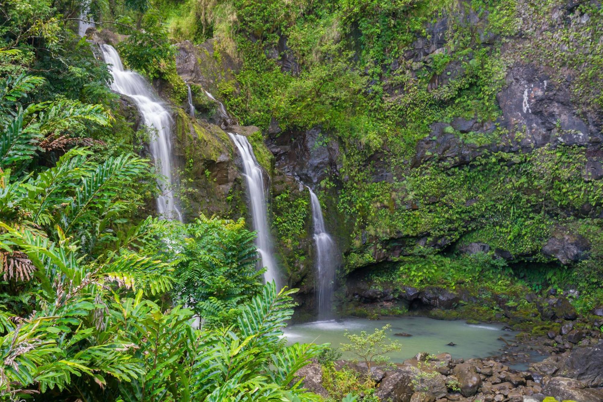 233 Market Street Unit A Villa Wailuku Dış mekan fotoğraf